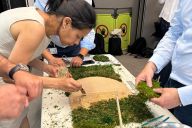 Participants en train d’assembler une fresque végétale lors d’un atelier MadCityZen. | © MadCityZen